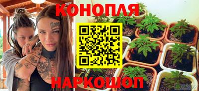 jwh Новокубанск