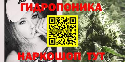 хмурый Новозыбков